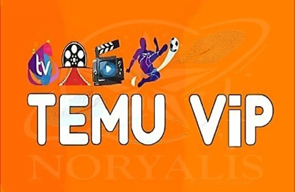 Our Subscriptions 42 TEMU VIP